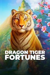 Dragon Tiger Fortune
