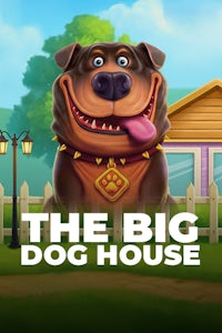 The Big Dog House