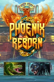 Phoenix Reborn