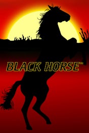 Black Horse