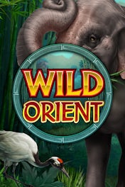 Wild Orient