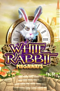 White Rabbit