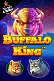 Buffalo King