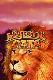 Majestic Cats