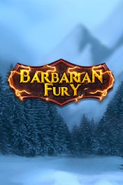 Barbarian Fury