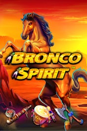 Bronco Spirit