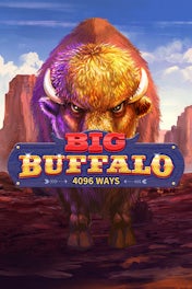 Big Buffalo