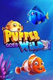 Puffer goes wild