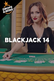 Blackjack 14