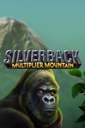 Silverback: Multiplier Mountain