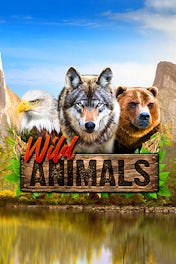 Wild Animals