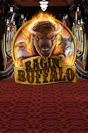 Ragin' Buffalo