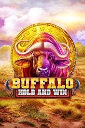 Buffalo Hold and Win