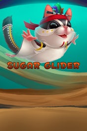 Sugar Glider