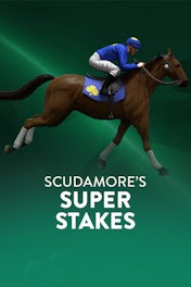 Scudamore's Super Stakes