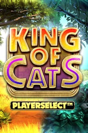 King of Cats