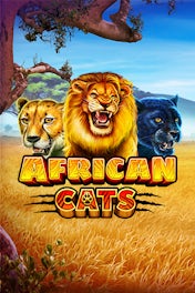 African Cats