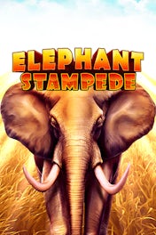 Elephant Stampede