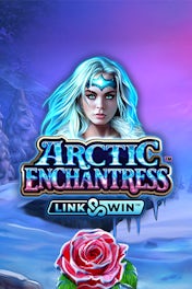 Arctic Enchantress