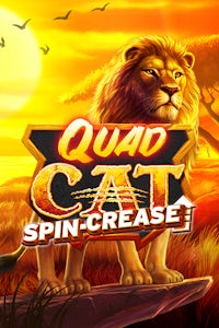 Quad Cat