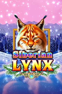 Siberian Lynx