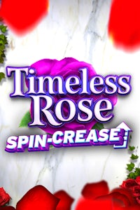 Timeless Rose