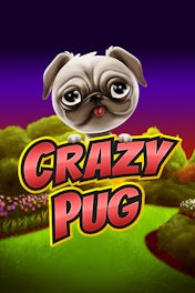 Crazy Pug
