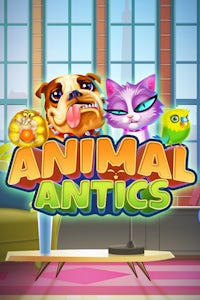 Animal Antics