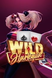 Wild Harlequin