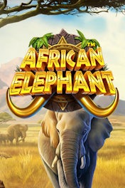 African Elephant
