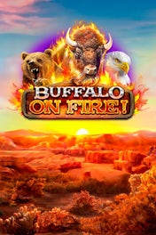 Buffalo On Fire!