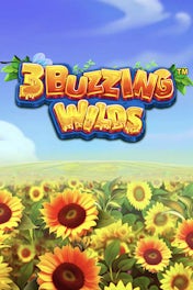 3 Buzzing Wilds