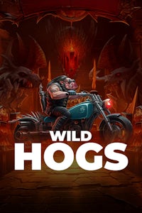Wild Hogs
