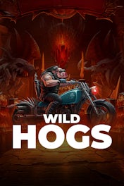 Wild Hogs