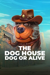 The Dog House – Dog or Alive
